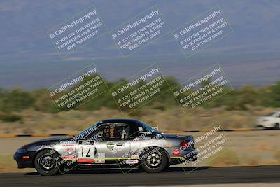 media/Oct-14-2023-Lucky Dog Racing (Sat) [[cef75db616]]/Turn 14 Inside Speed Pans (450pm)/